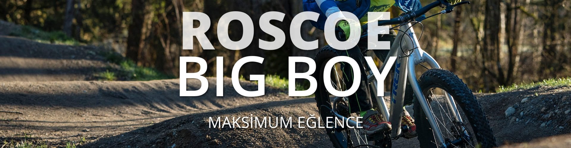 Roscoe Çocuk Bisikleti